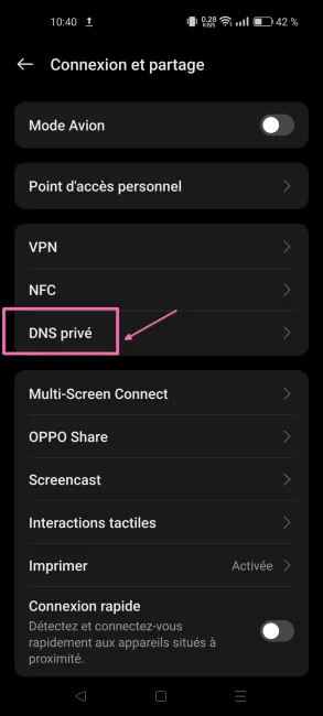 Screenshot DNS privé