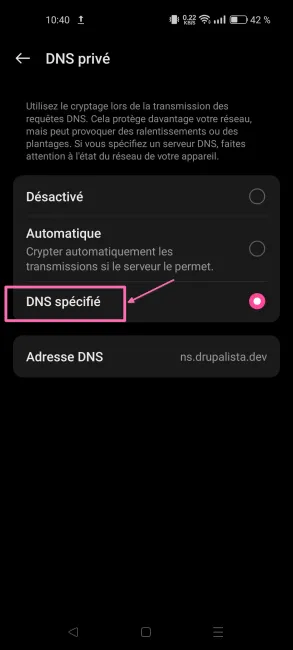 Screenshot DNS Spécifié